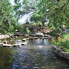 Zilker Botanical Gardens